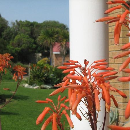 Nell'S B&B Kleinbaai Bagian luar foto